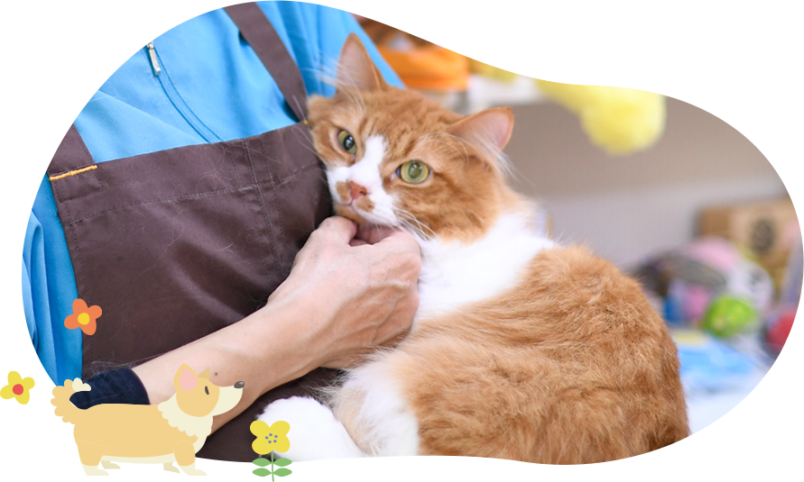 ペットホテル・一時預かり