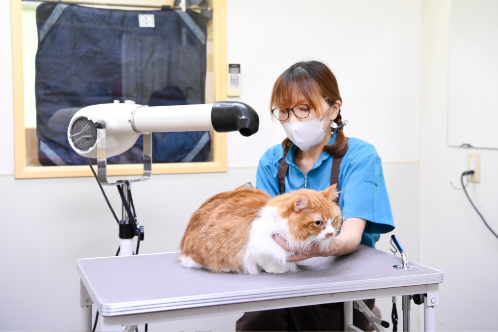 丁寧なカウンセリングから始めます