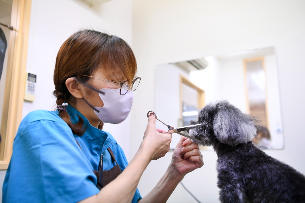 犬種や性格に合わせた丁寧な対応