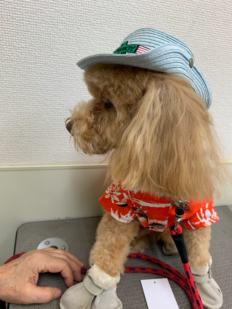 健康と快適さを重視