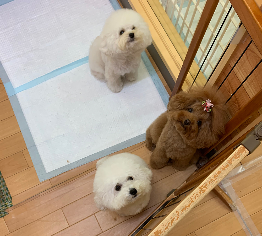 大切な家族を、安心してお預けください