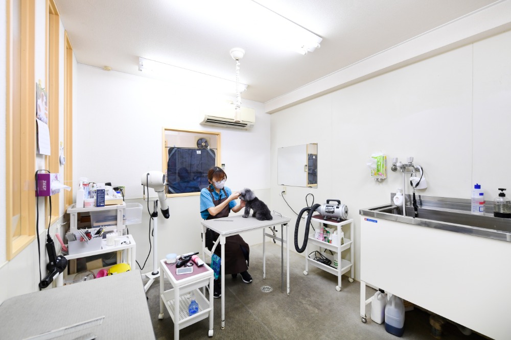 飼い主さまに寄り添った丁寧なカウンセリング