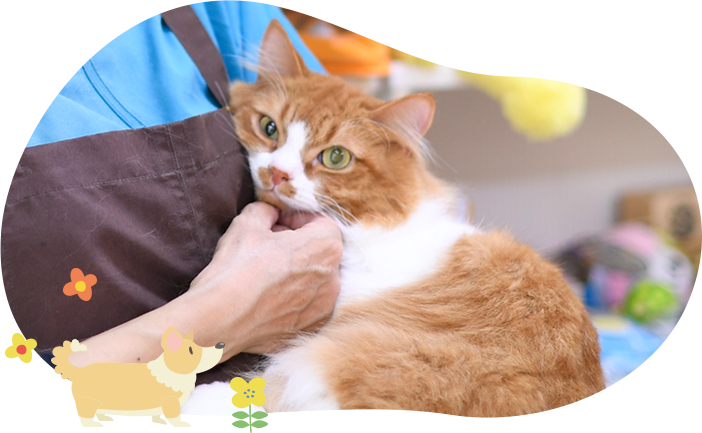 ペットホテル・一時預かり