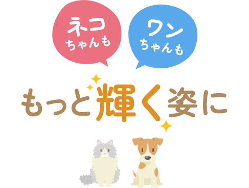 ネコちゃんもワンちゃんももっと輝く姿に