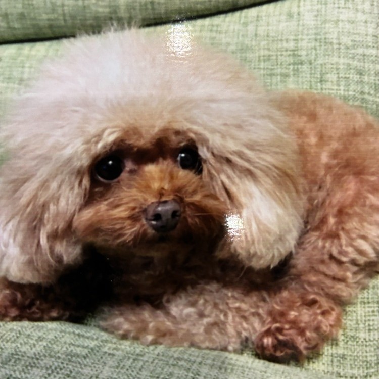 店長（愛称：しーちゃん）