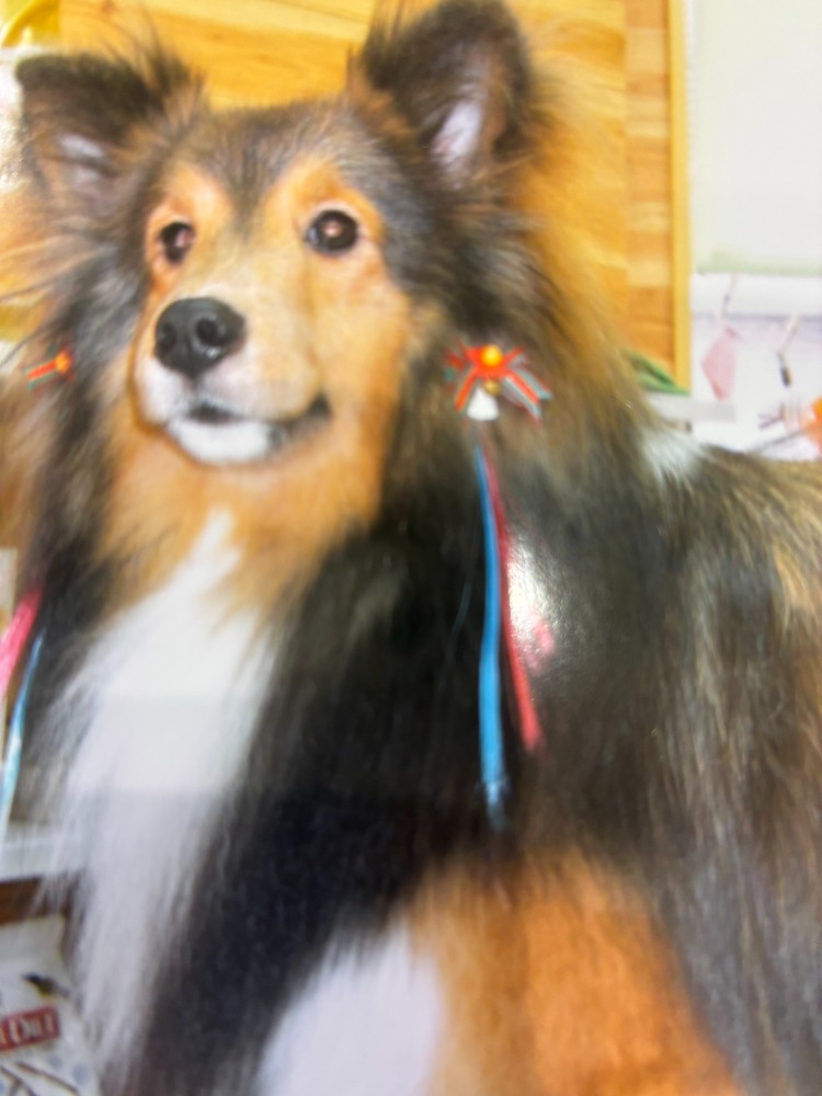 JKCトリマー（愛称：おにいちゃん）