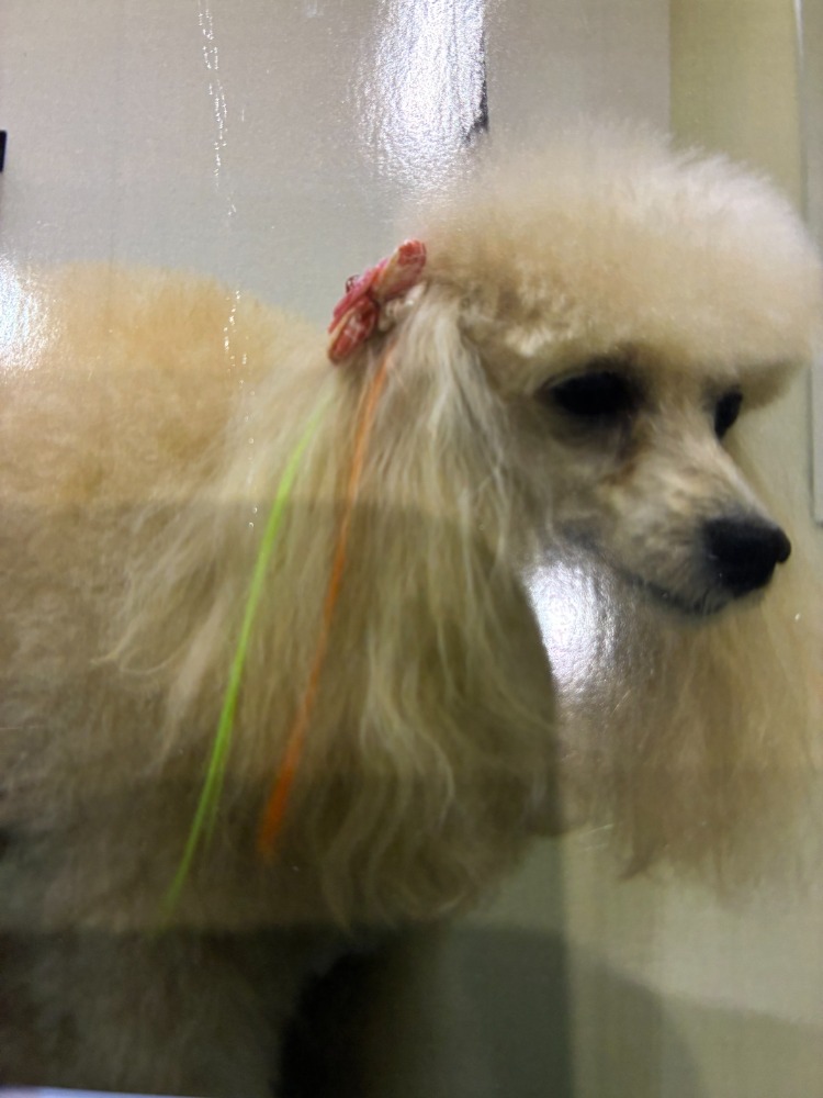 受付・事務（愛称：ママさん）