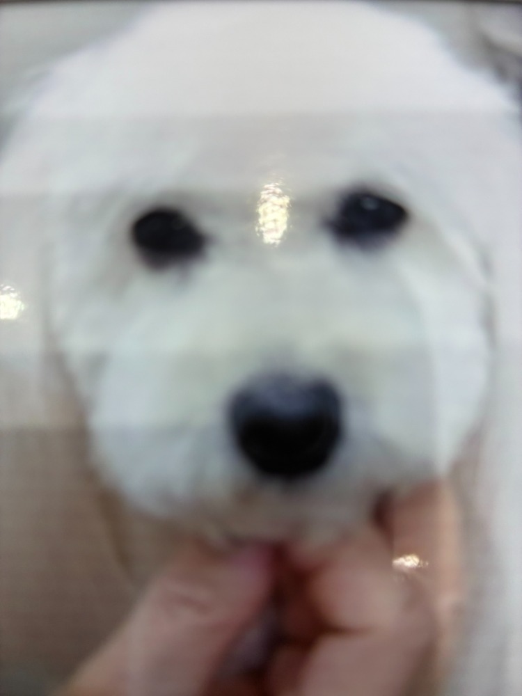 受付・事務（愛称：ママさん）